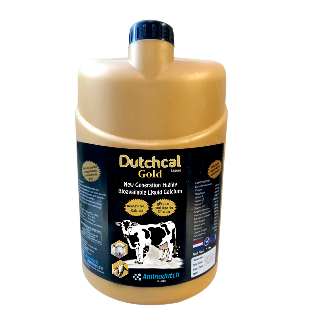 Dutchcal Gold Liquid – Premium Calcium & Mineral Supplement for Cattle, Buffalo, Goat, Sheep, Poultry | Boosts Milk Production, Bone Strength, Growth & Immunity 5ltr