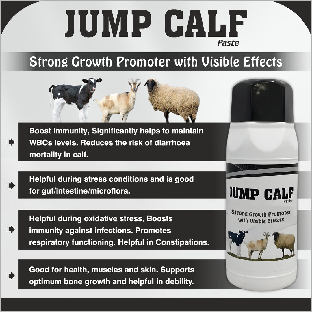 Jump Calf Paste | Strong Growth Promoter 1kg
