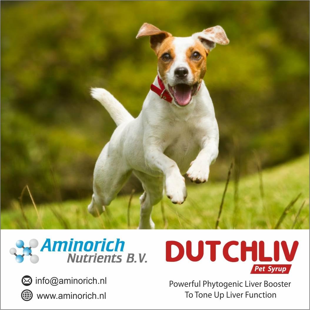 DUTCHLIV Pet Syrup 200ml | Powerful phytogenic liver booster to tone up liver functions