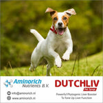 DUTCHLIV Pet Syrup 200ml | Powerful phytogenic liver booster to tone up liver functions