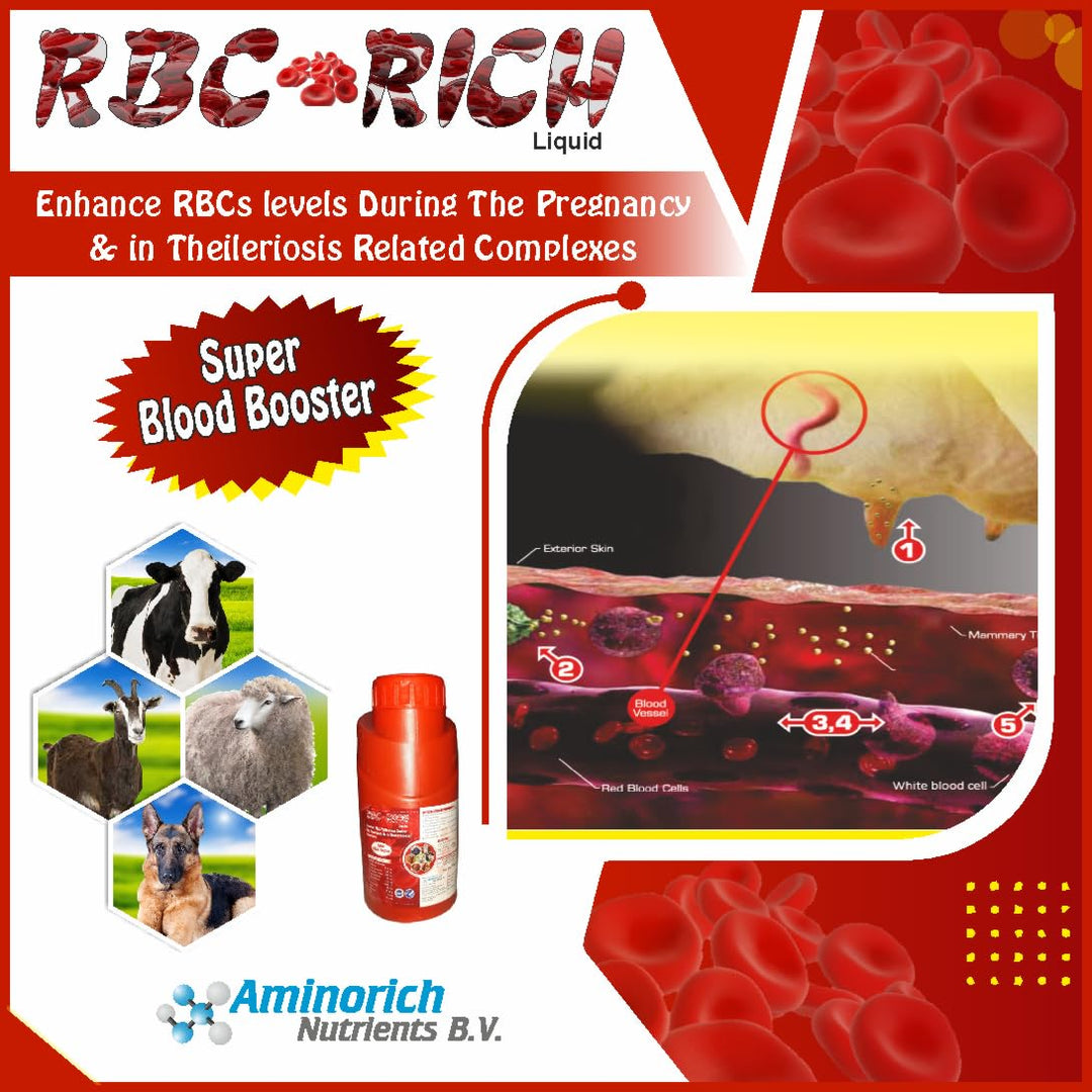 RBC Rich Liquid 5L| Super Blood Boosting Tonic