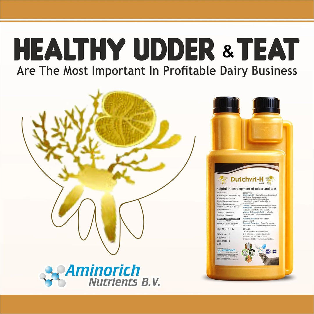 Dutchvit-H Liquid 1L