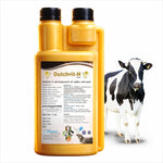 Dutchvit-H Liquid 250ml