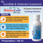 Amino Cool Veterinary 100ml | A Gastro Intestinal Cooling Solution