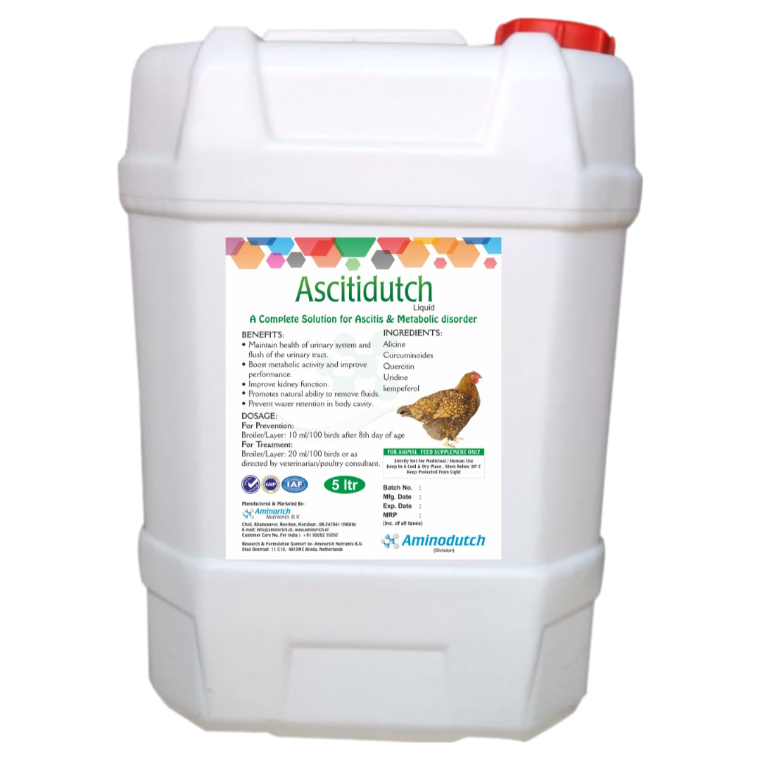 Ascitidutch_Liquid_5L