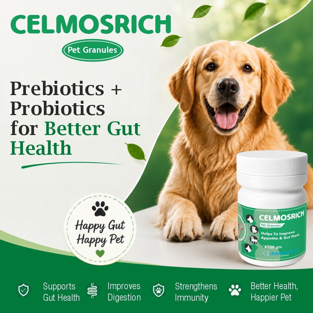 CELMOSRICH – A Proven Prebiotic & Probiotic Solution | 120 gm Granules | Supports Gut Health, Digestion & Nutrient Absorption in Animals