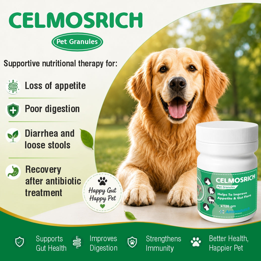 CELMOSRICH – A Proven Prebiotic & Probiotic Solution | 120 gm Granules | Supports Gut Health, Digestion & Nutrient Absorption in Animals