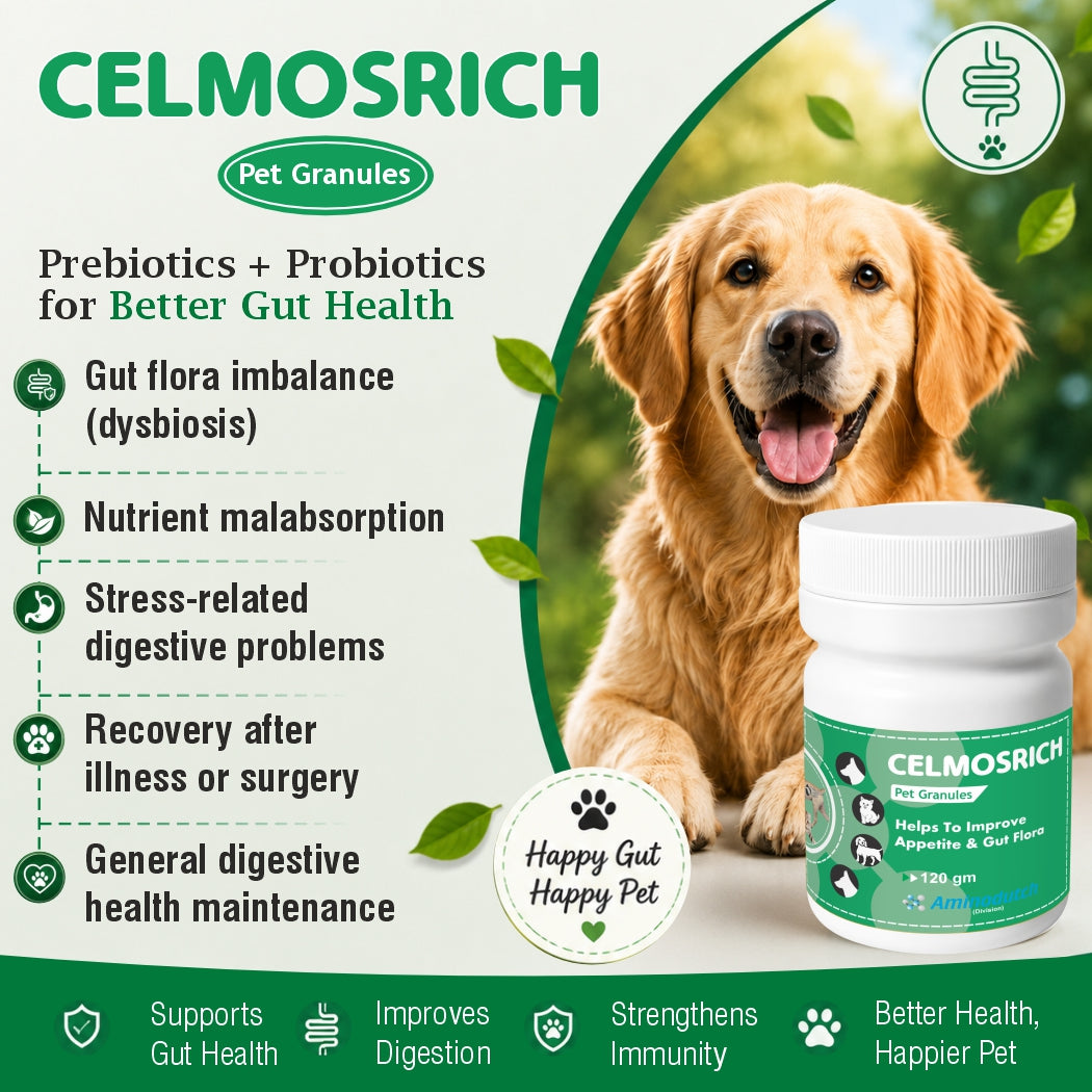 CELMOSRICH – A Proven Prebiotic & Probiotic Solution | 120 gm Granules | Supports Gut Health, Digestion & Nutrient Absorption in Animals