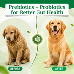 CELMOSRICH – A Proven Prebiotic & Probiotic Solution | 120 gm Granules | Supports Gut Health, Digestion & Nutrient Absorption in Animals