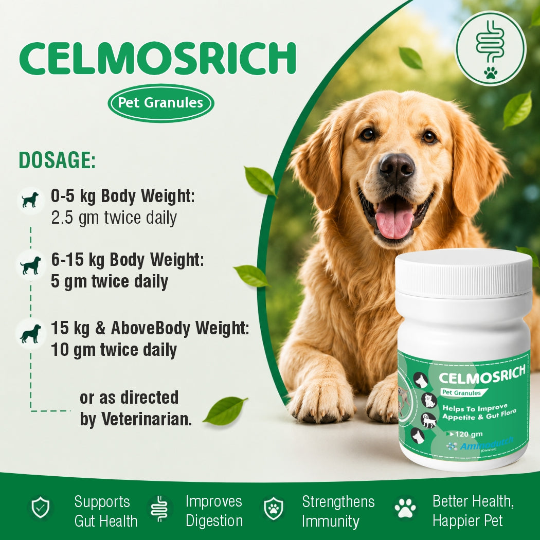 CELMOSRICH – A Proven Prebiotic & Probiotic Solution | 120 gm Granules | Supports Gut Health, Digestion & Nutrient Absorption in Animals