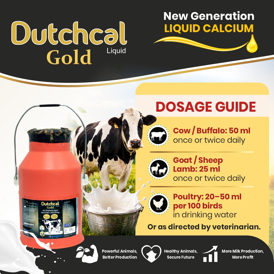 Dutchcal Gold Liquid Calcium Supplement for Cattle, Buffalo, Goat & Sheep 10ltr
