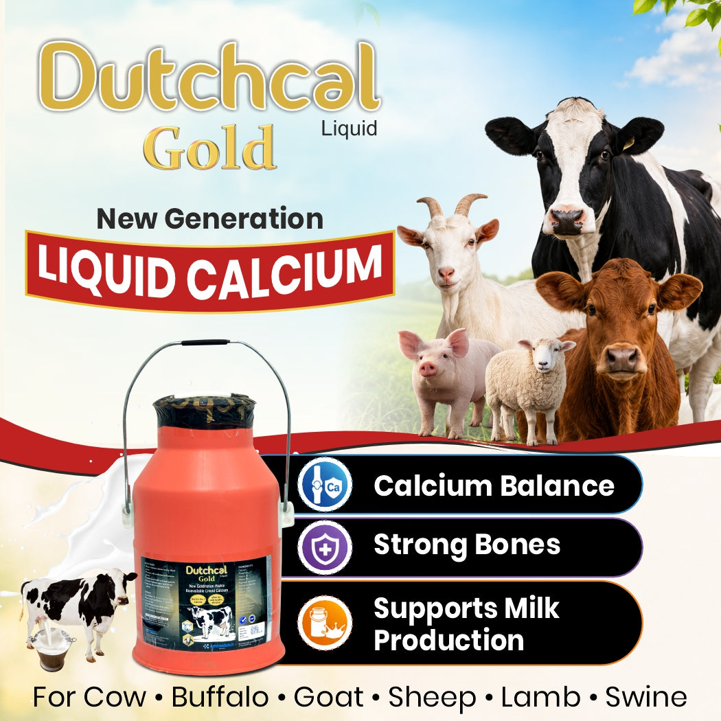 Dutchcal Gold Liquid Calcium Supplement for Cattle, Buffalo, Goat & Sheep 10ltr