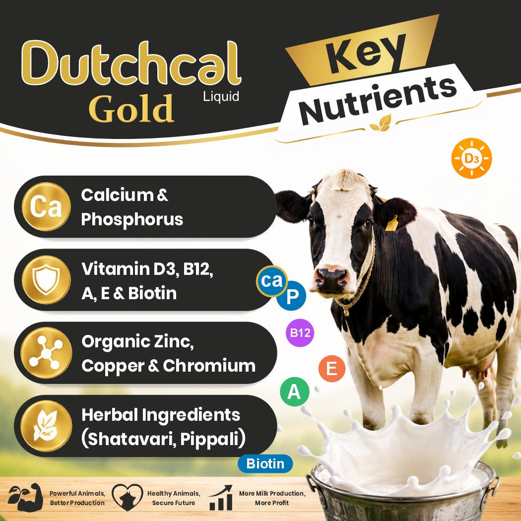 Dutchcal Gold Liquid Calcium Supplement for Cattle, Buffalo, Goat & Sheep 10ltr
