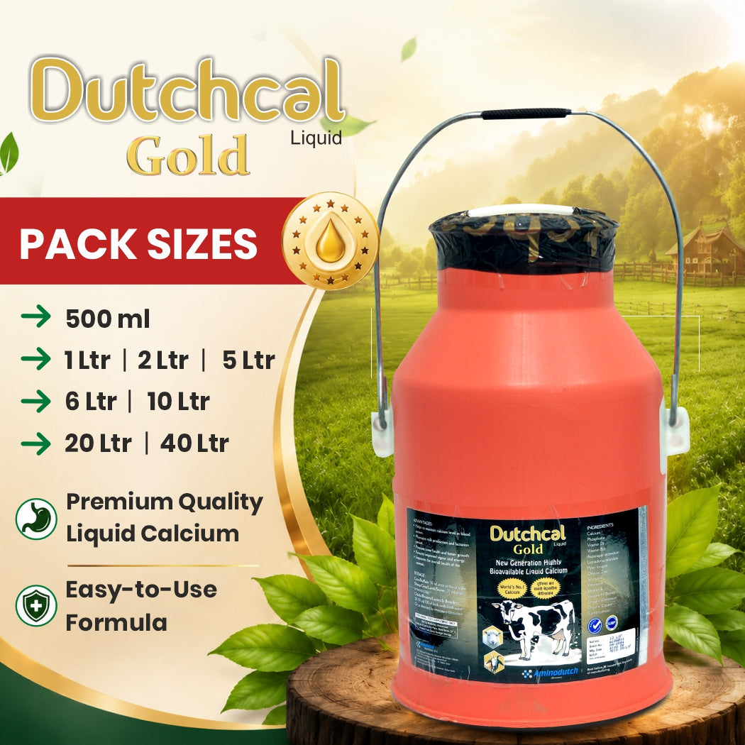 Dutchcal Gold Liquid Calcium Supplement for Cattle, Buffalo, Goat & Sheep 10ltr