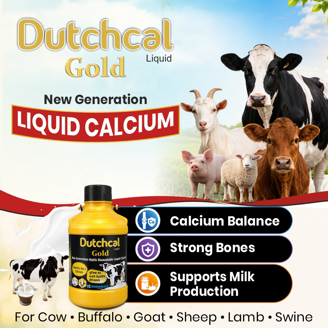 Dutchcal Gold Liquid Calcium Supplement for Cattle, Buffalo, Goat, Sheep & Poultry 2ltr