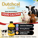 Dutchcal Gold Liquid Calcium Supplement for Cattle, Buffalo, Goat, Sheep & Poultry | Supports Milk Production, Bone Health & Lactation