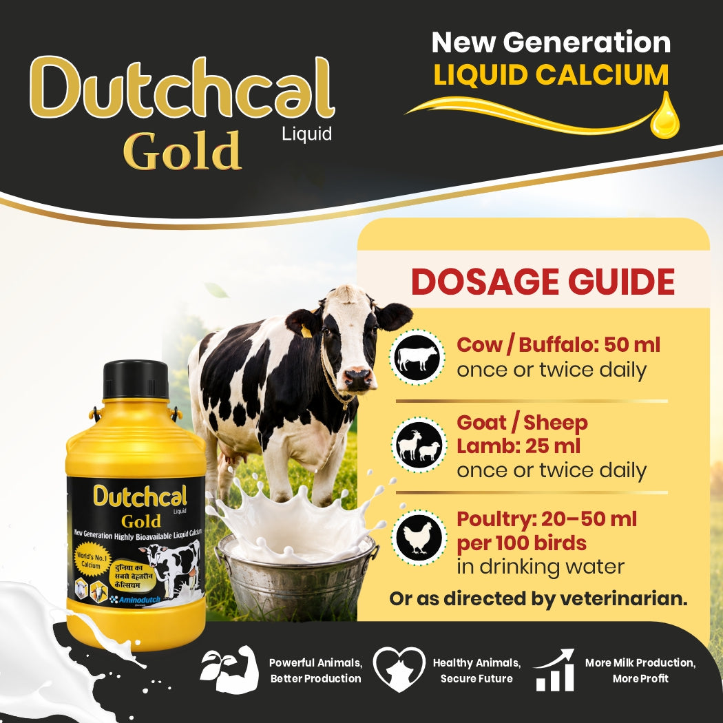 Dutchcal Gold Liquid Calcium Supplement for Cattle, Buffalo, Goat, Sheep & Poultry 2ltr