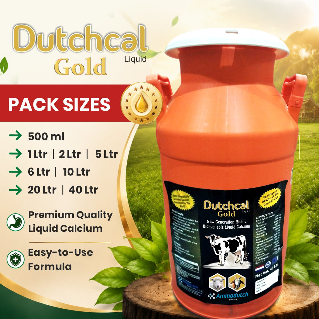 Dutchcal Gold Liquid Calcium Supplement for Cattle, Buffalo, Goat & Sheep 20ltr