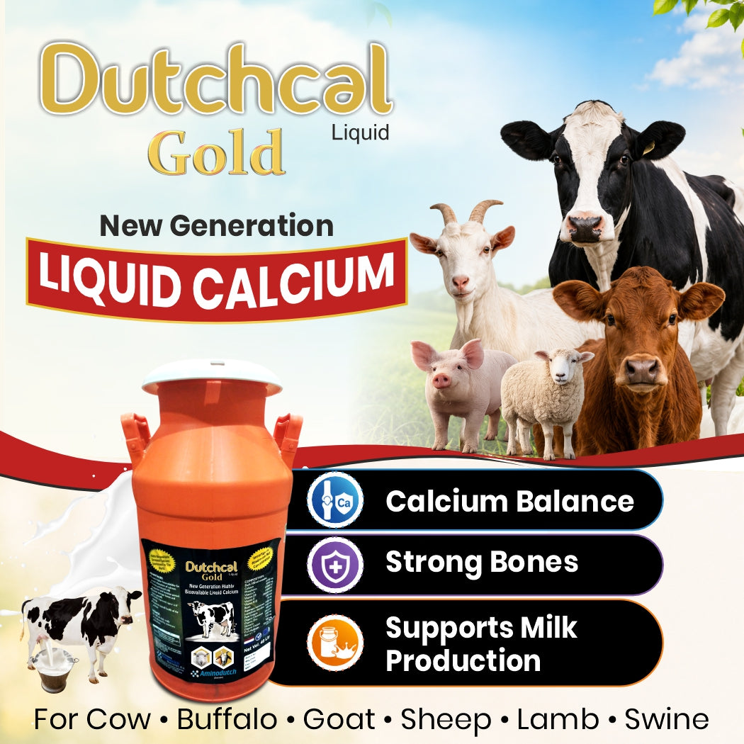 Dutchcal Gold Liquid Calcium Supplement for Cattle, Buffalo, Goat & Sheep 20ltr