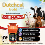 Dutchcal Gold Liquid Calcium Supplement for Cattle, Buffalo, Goat & Sheep 20ltr