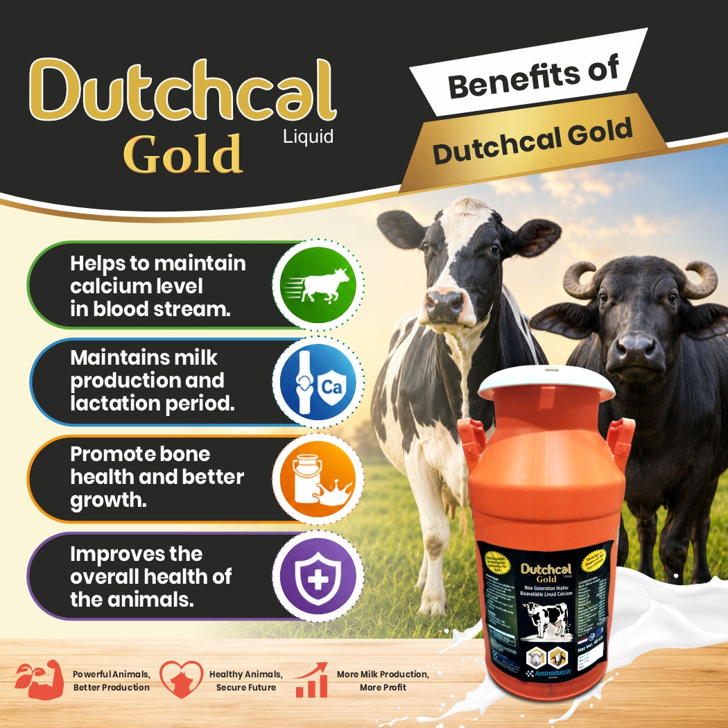 Dutchcal Gold Liquid Calcium Supplement for Cattle, Buffalo, Goat & Sheep 20ltr