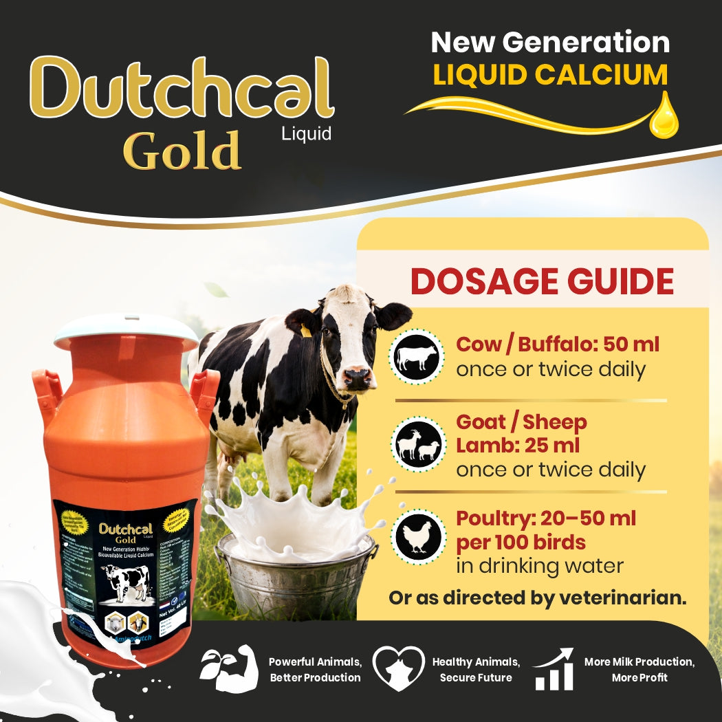 Dutchcal Gold Liquid Calcium Supplement for Cattle, Buffalo, Goat & Sheep 20ltr