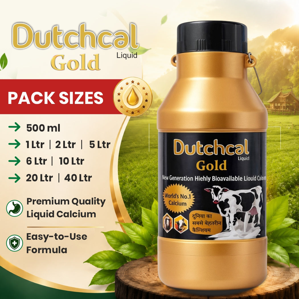 Dutchcal Gold Liquid Calcium Supplement for Cattle, Buffalo, Goat & Sheep 6ltr