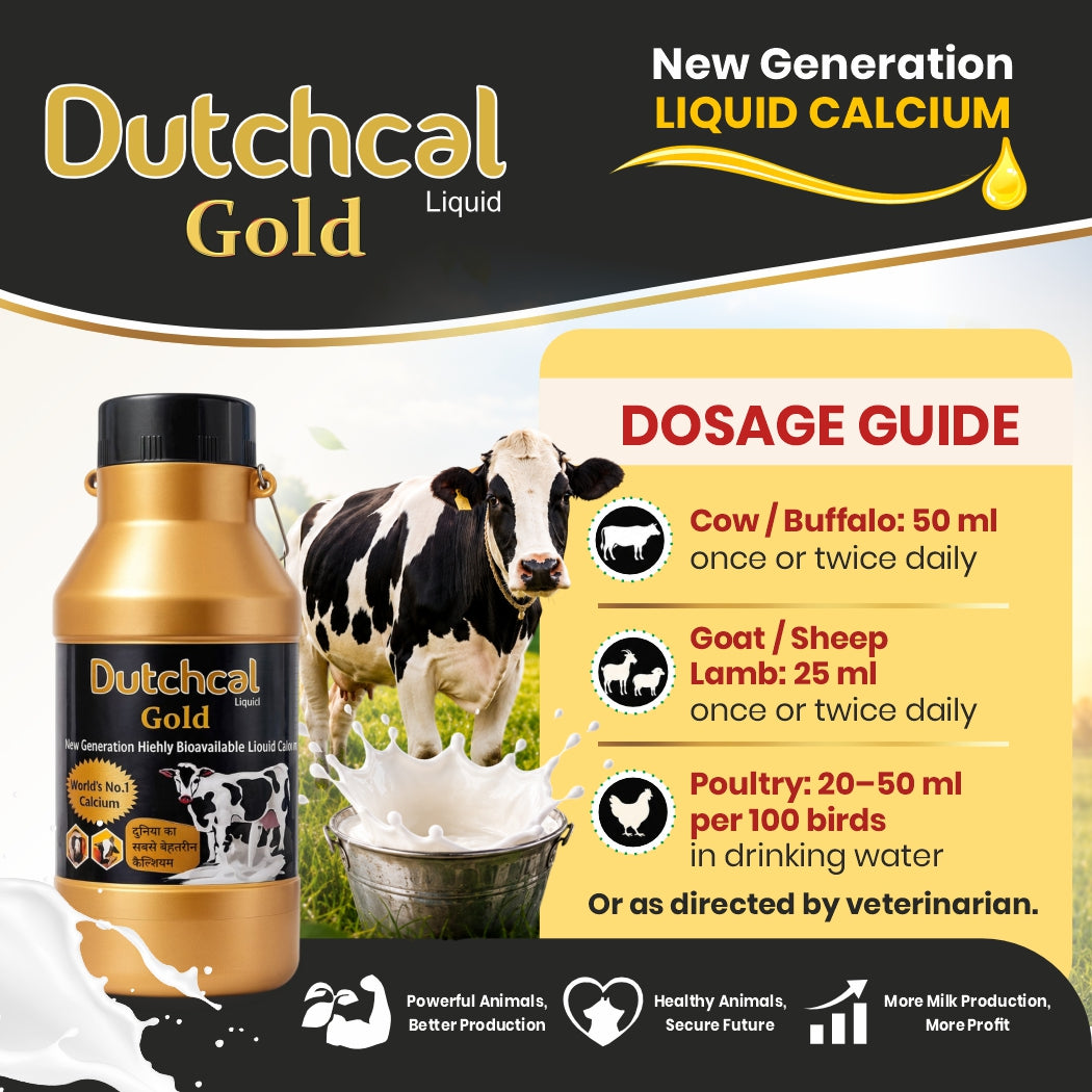Dutchcal Gold Liquid Calcium Supplement for Cattle, Buffalo, Goat & Sheep 6ltr