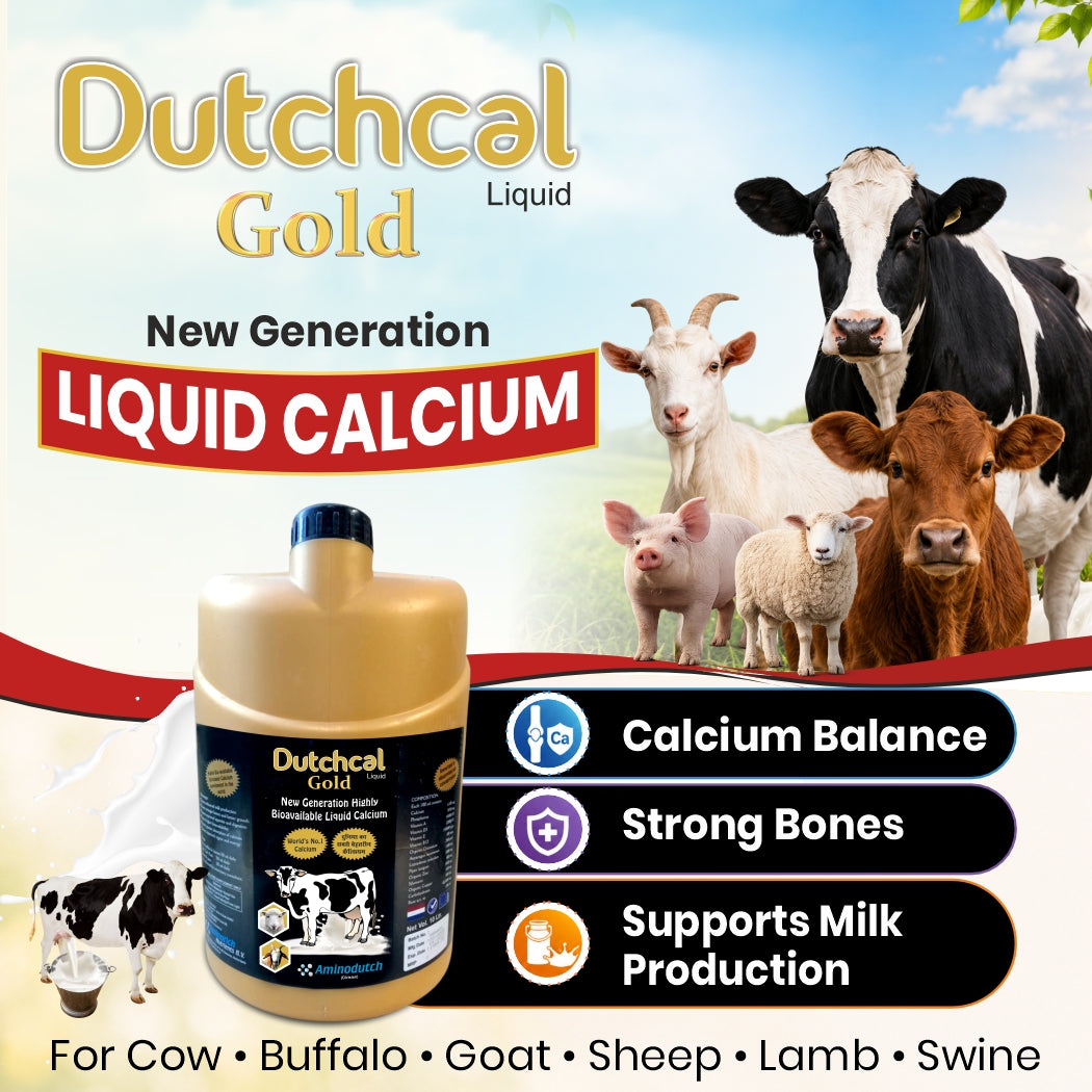 Dutchcal Gold Liquid Calcium Supplement for Cattle, Buffalo, Goat & Sheep 1ltr