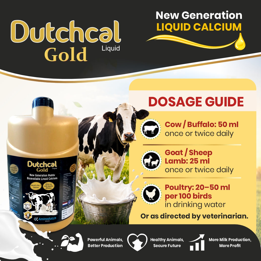 Dutchcal Gold Liquid Calcium Supplement for Cattle, Buffalo, Goat & Sheep 1ltr