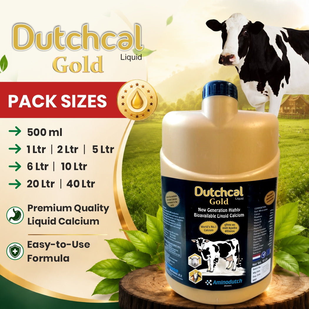 Dutchcal Gold Liquid Calcium Supplement for Cattle, Buffalo, Goat & Sheep 1ltr