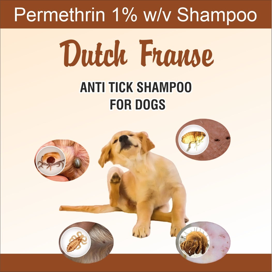 Dutch Franse Permethrin 1% w/v Anti Tick Shampoo for Dogs | Flea, Tick & Lice Control | Gentle Cleansing Formula | 200 ml