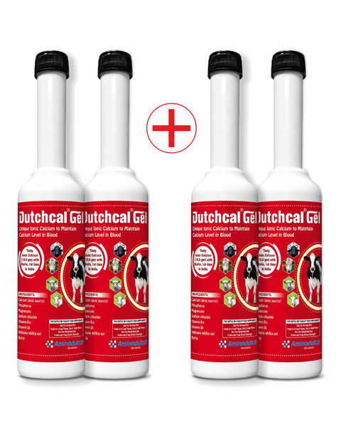 Dutchcal Gel Buy 2 Get 2 Free ,Ionic Calcium Supplement for Dairy Cattle, Supports Calcium Levels, Milk Production & Lactation,300 gm × 4
