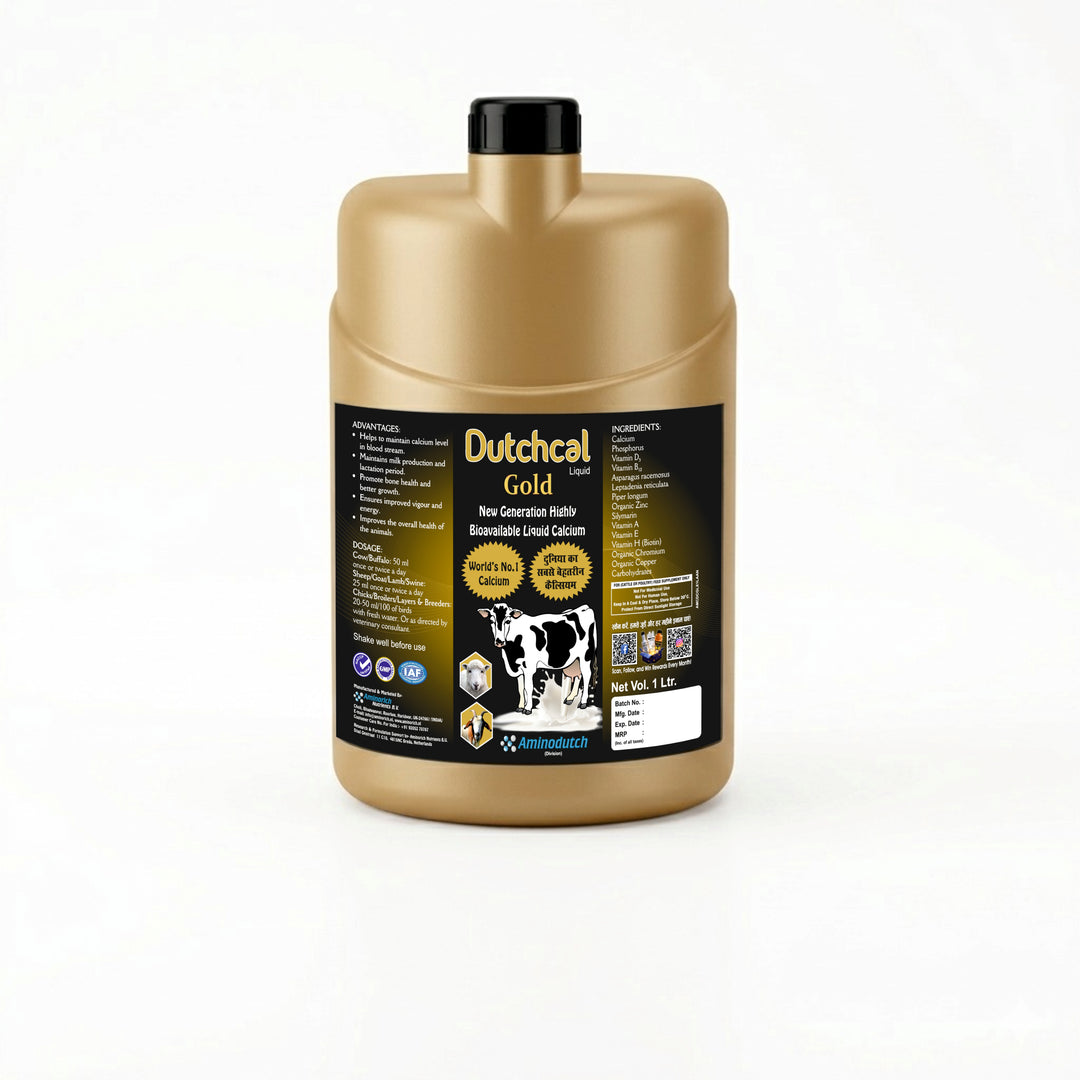 Dutchcal Gold Liquid – Premium Calcium & Mineral Supplement for Cattle, Buffalo, Goat, Sheep, Poultry | Boosts Milk Production, Bone Strength, Growth & Immunity