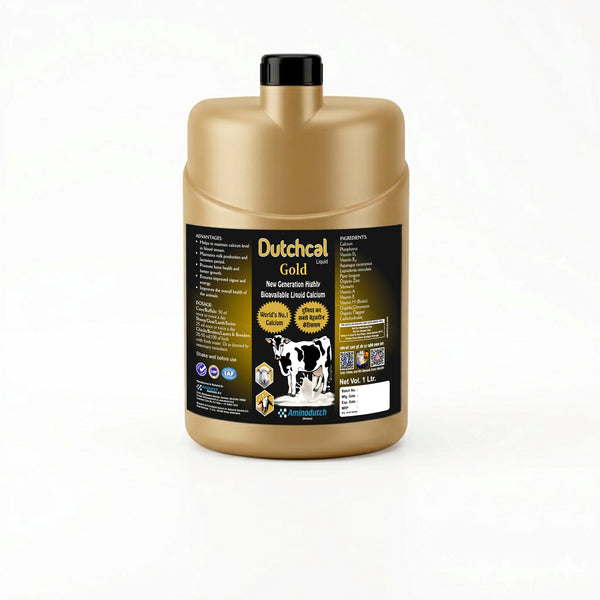 Dutchcal Gold Liquid – Premium Calcium & Mineral Supplement for Cattle, Buffalo, Goat, Sheep, Poultry | Boosts Milk Production, Bone Strength, Growth & Immunity