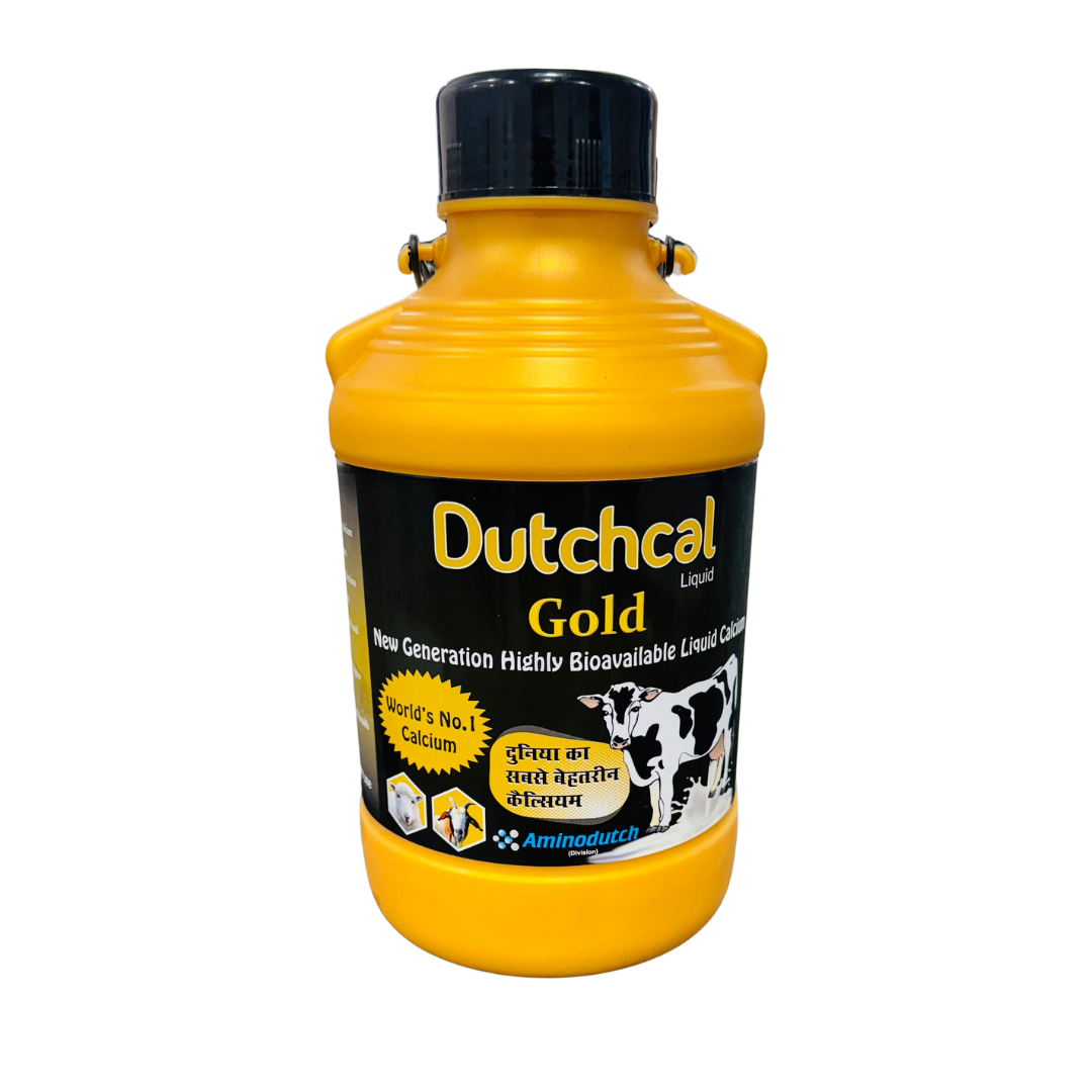 Dutchcal Gold Liquid – Premium Calcium & Mineral Supplement for Cattle, Buffalo, Goat, Sheep, Poultry | Boosts Milk Production, Bone Strength, Growth & Immunity