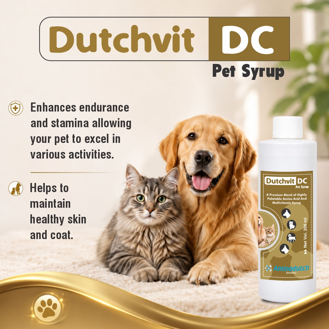 Dutchvit DC Pet Syrup 200 ml | Chicken Flavor Pet Supplement