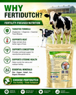 Fertidutch Powder for Cattle, Fertility & Breeding Support Supplement with Zinc, Copper, Cobalt, Iron & Organic Chromium, 500gm