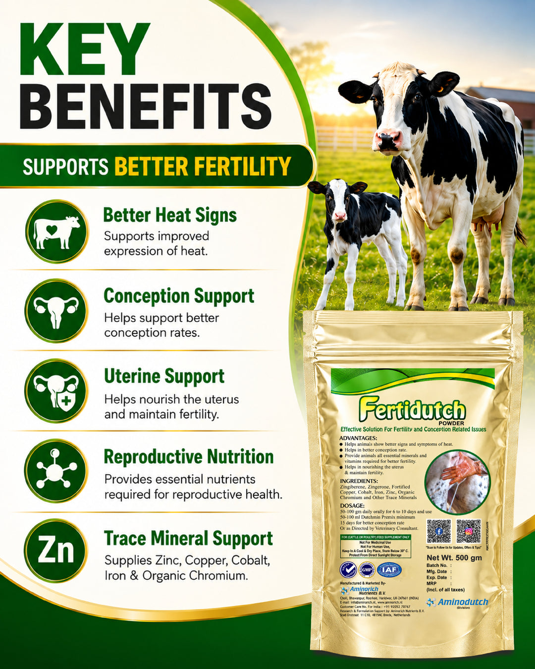 Fertidutch Powder for Cattle, Fertility & Breeding Support Supplement with Zinc, Copper, Cobalt, Iron & Organic Chromium, 500gm