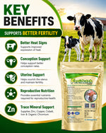 Fertidutch Powder for Cattle, Fertility & Breeding Support Supplement with Zinc, Copper, Cobalt, Iron & Organic Chromium, 500gm
