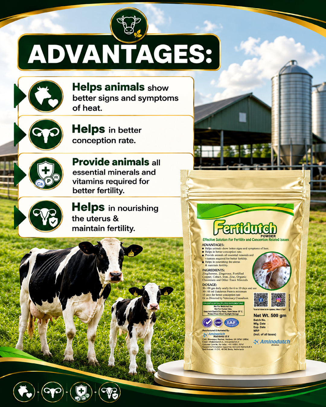 Fertidutch Powder for Cattle, Fertility & Breeding Support Supplement with Zinc, Copper, Cobalt, Iron & Organic Chromium, 500gm