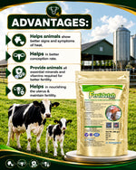 Fertidutch Powder for Cattle, Fertility & Breeding Support Supplement with Zinc, Copper, Cobalt, Iron & Organic Chromium, 500gm
