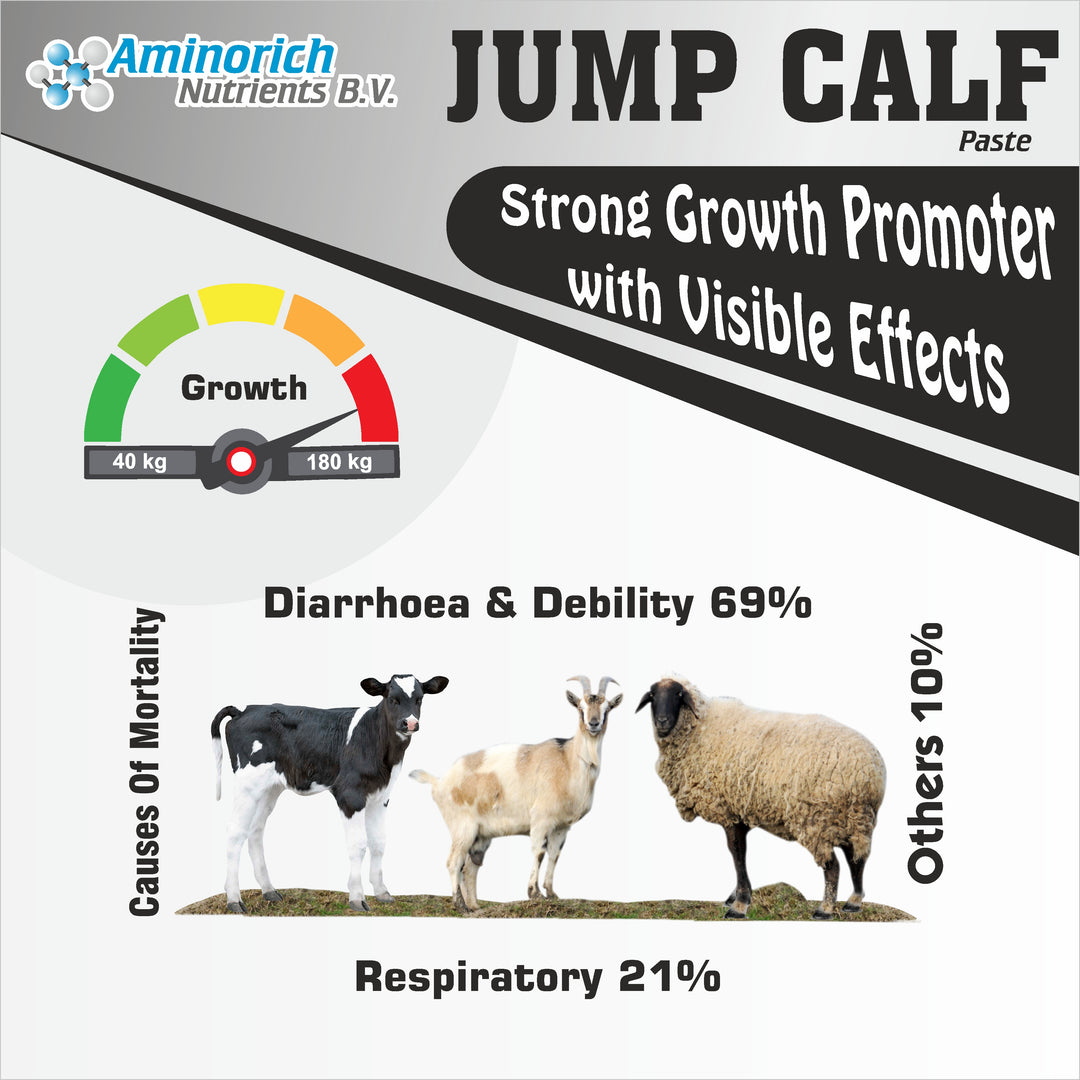 Jump Calf Paste | Strong Growth Promoter 1kg
