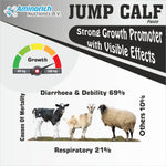 Jump Calf Paste | Strong Growth Promoter 1kg