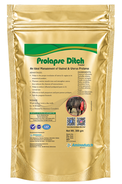 Prolapse Ditch Powder for Cattle ,Vaginal & Uterine Prolapse Management Support Supplement ,  300 gm