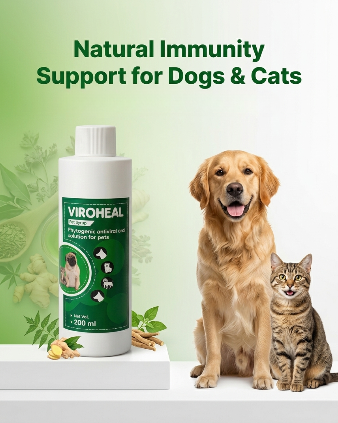VIROHEAL Pet Syrup Immunity Booster for Dogs & Cats with Amla, Tulsi, Giloy & Pippali – Herbal Supplement (200 ml)