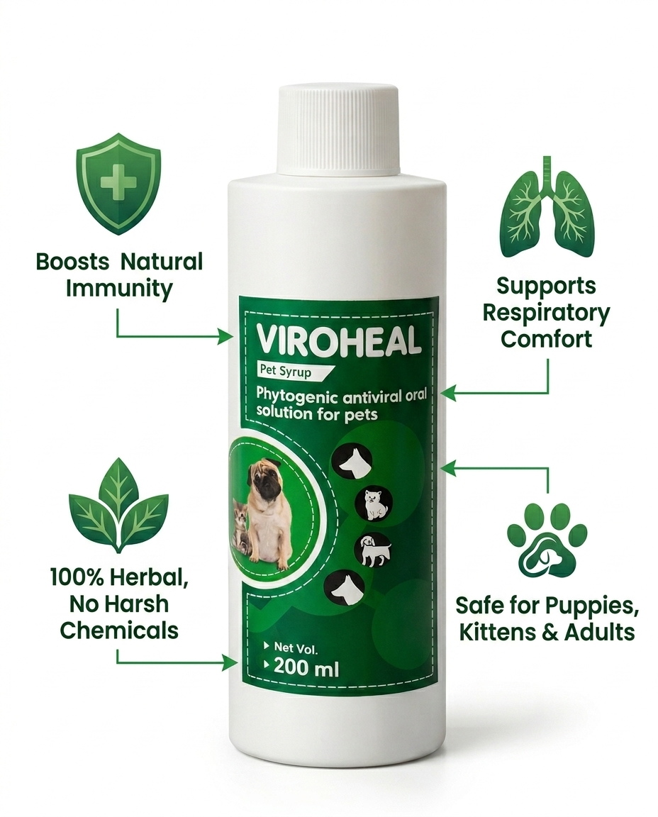 VIROHEAL Pet Syrup Immunity Booster for Dogs & Cats with Amla, Tulsi, Giloy & Pippali – Herbal Supplement (200 ml)