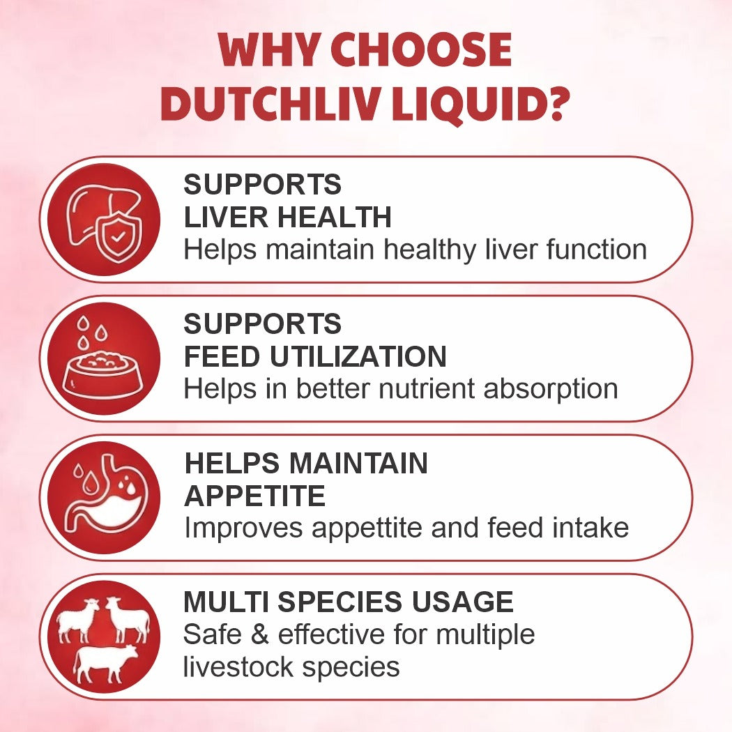 Dutchliv Liquid Liver Tonic with Silymarin for Cow, Buffalo & Poultry – 500 ml