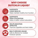 Dutchliv Liquid Liver Tonic with Silymarin for Cow, Buffalo & Poultry – 500 ml