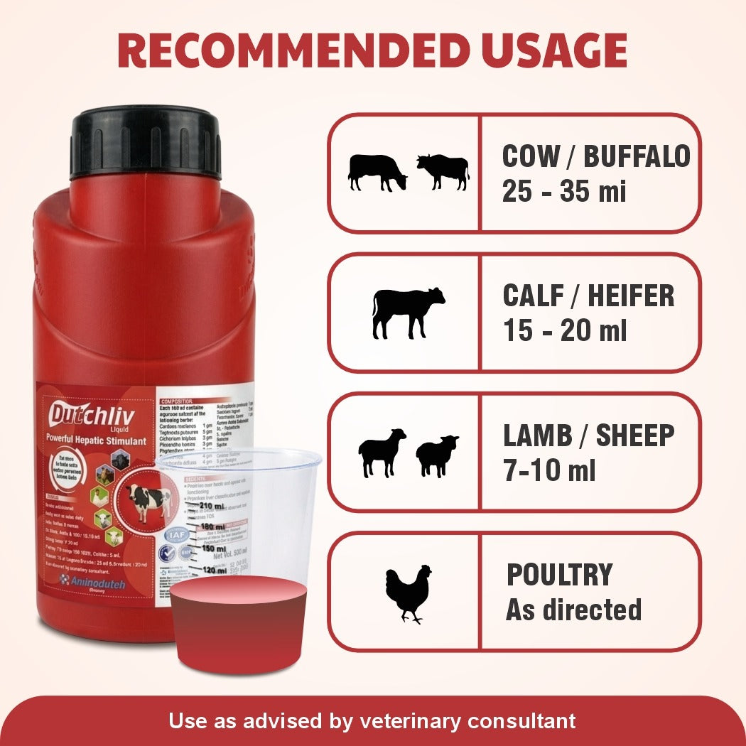 Dutchliv Liquid Liver Tonic with Silymarin for Cow, Buffalo & Poultry – 500 ml